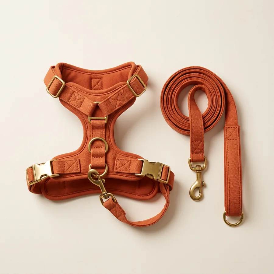No-Pull Padded Dog Harness